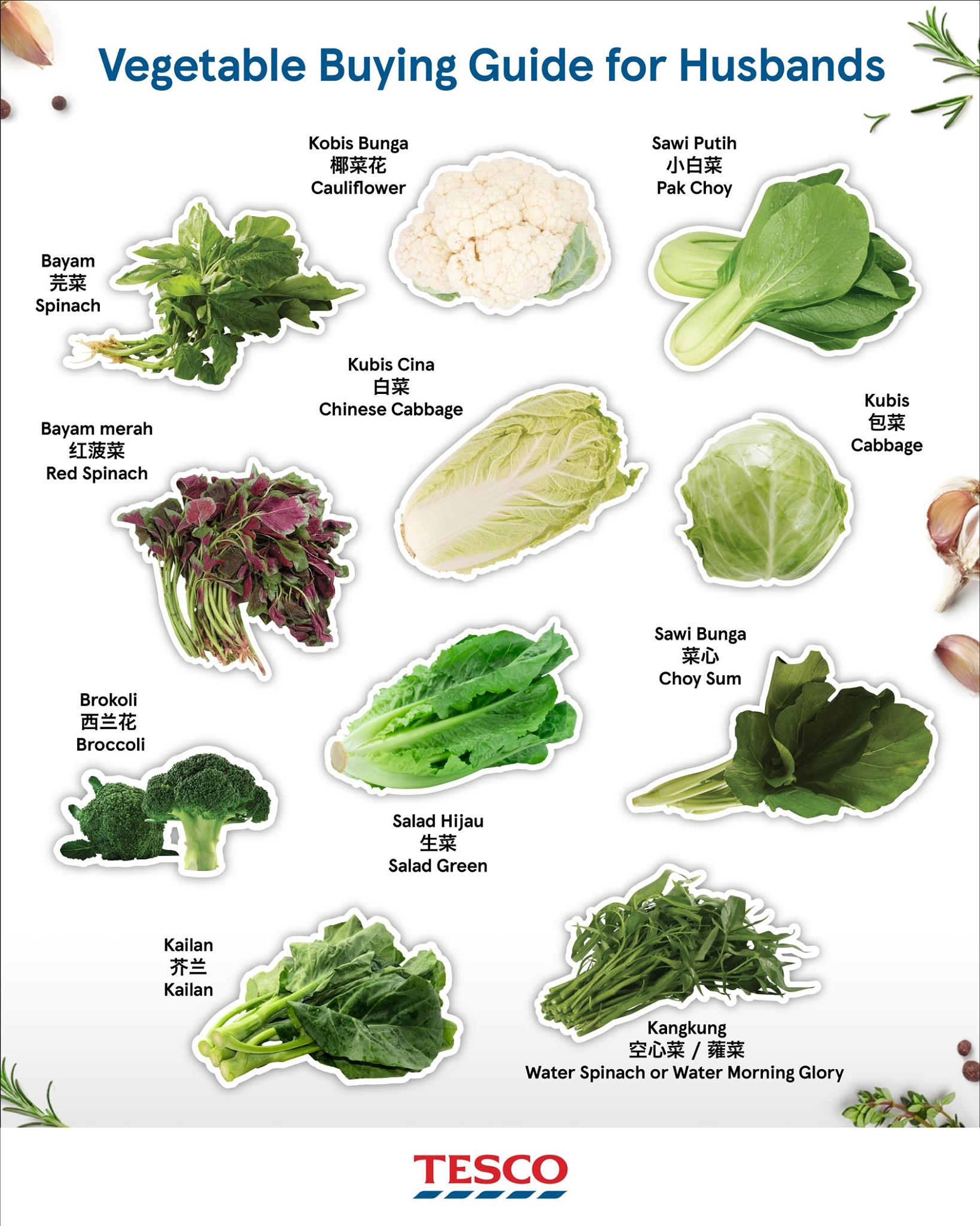 100种蔬菜大全名称图片