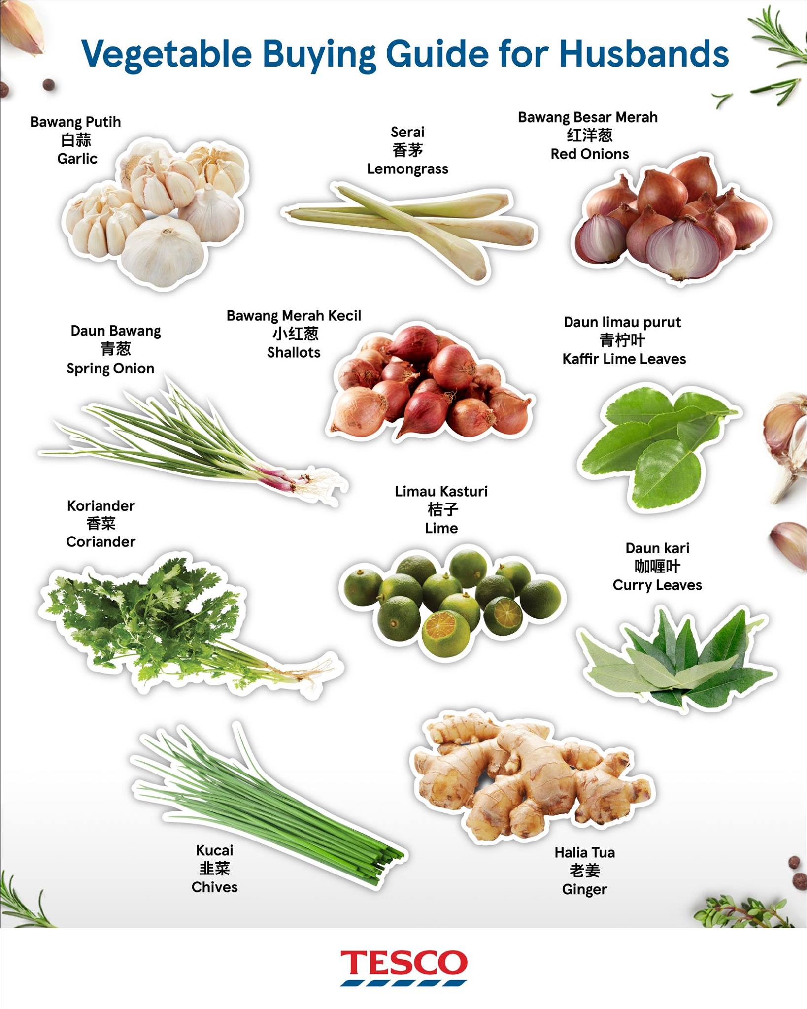 蔬菜种类 图册图片